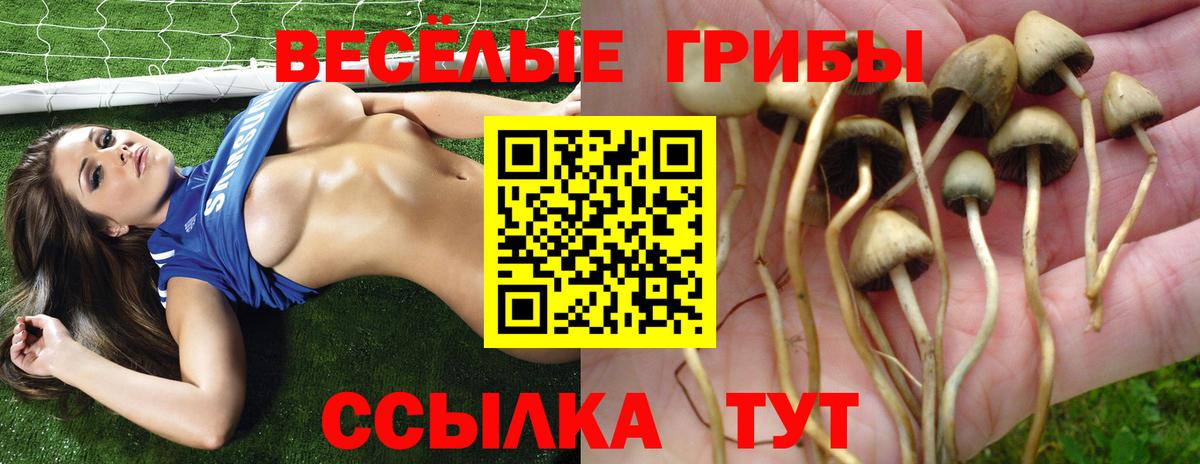 купить наркоту  Псилоцибиновые грибы Magic Shrooms  Вход с VPN  Коряжма 